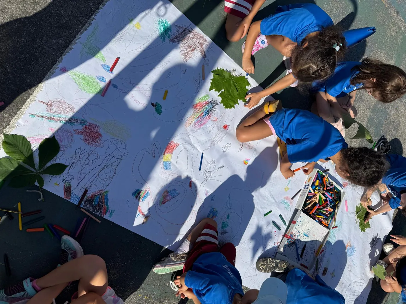 Actividades al aire libre en el patio del Colegio NSD